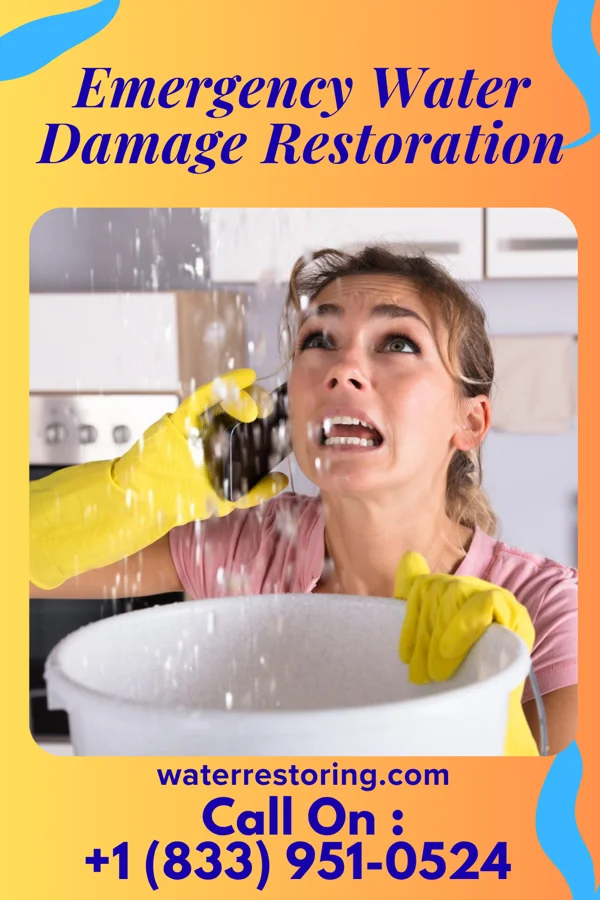 Emergency Water Damage Restoration in Springboro, PA