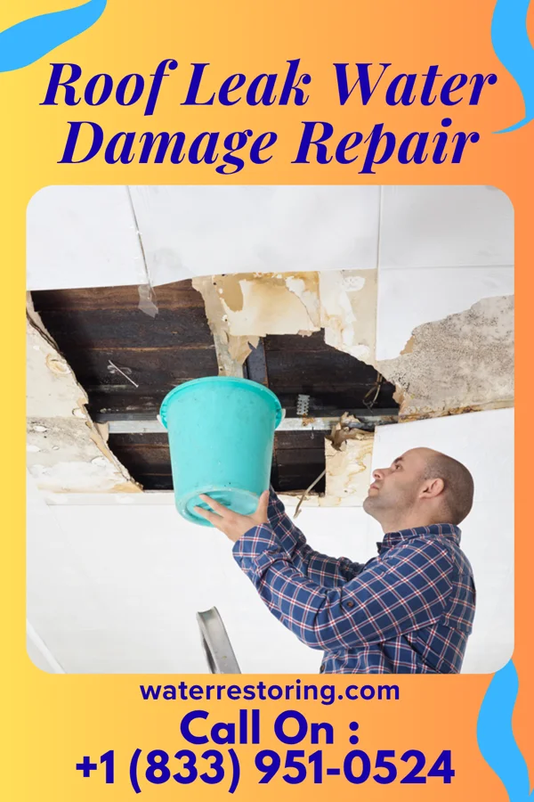 Roof Leak Water Damage Repair in Springboro, PA