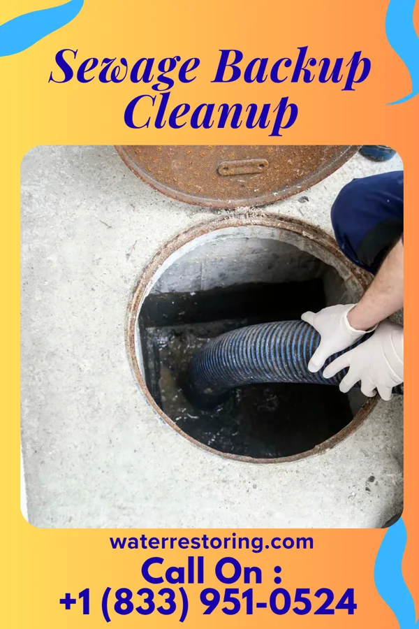 Sewage Backup Cleanup in Springboro, PA