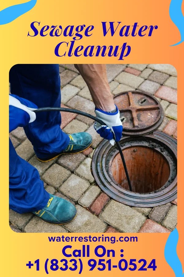Sewage Water Cleanup in Springboro, PA